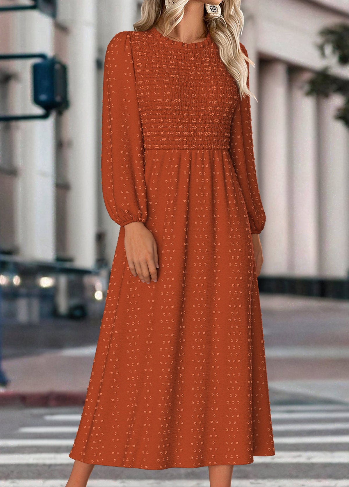 Terracotta Tummy Coverage Long Sleeve Round Neck Dress