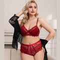 Plus Size See Through Lace Sexy Bra Set